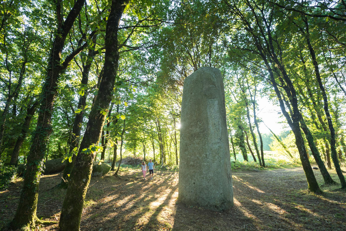 Forêt de Brocéliande 